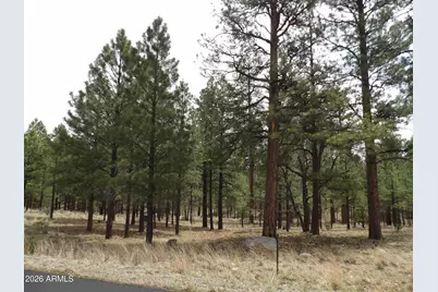 2011 Pine Canyon Drive #173, Happy Jack, AZ 86024 - Photo 6