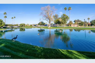 2399 Leisure World --, Mesa, AZ 85206 - Photo 50