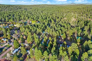 4476 S Indian Trail, Show Low, AZ 85901 - Photo 36