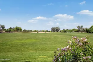 2120 W Olivia Dr, San Tan Valley, AZ 85144 - Photo 44