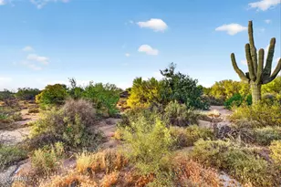 7474 E Christmas Cholla Dr, Scottsdale, AZ 85255 - Photo 38