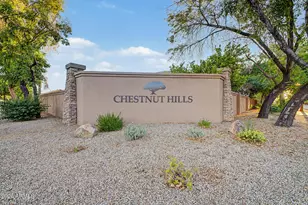 1393 E Tulsa St, Gilbert, AZ 85295 - Photo 28