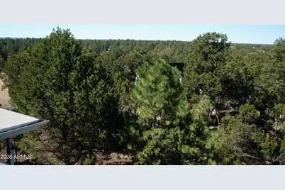 1988 Bradley Lane, Overgaard, AZ 85933 - Photo 38