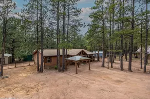 2426 Daisy Trl, Forest Lakes, AZ 85931 - Photo 50