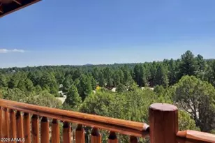 2310 N Cottage Trail, Show Low, AZ 85901 - Photo 28