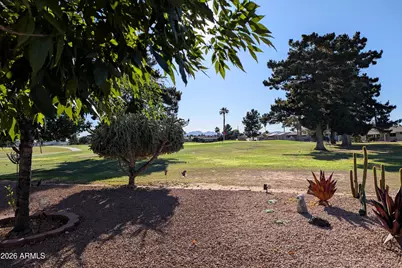 11444 N 109th Avenue, Sun City, AZ 85351 - Photo 8