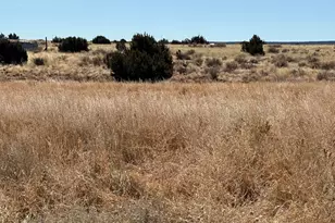 13 N Mountain View Street N, Saint Johns, AZ 85936 - Photo 1