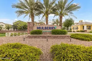 10609 E Naranja Ave, Mesa, AZ 85209 - Photo 46