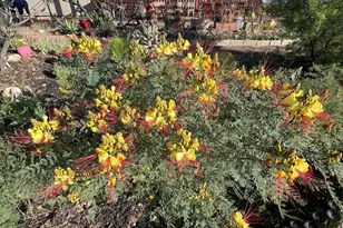 836 W State Route 260 --, Camp Verde, AZ 86322 - Photo 28
