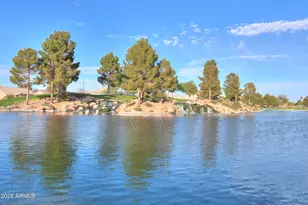45574 W Tulip Ln, Maricopa, AZ 85139 - Photo 46