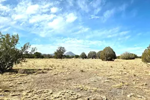 8495 W Antelope Run Rd, Ash Fork, AZ 86320 - Photo 38