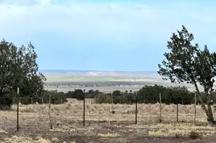 8495 W Antelope Run Rd, Ash Fork, AZ 86320 - Photo 12