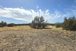 8495 W Antelope Run Rd, Ash Fork, AZ 86320 - Photo 34