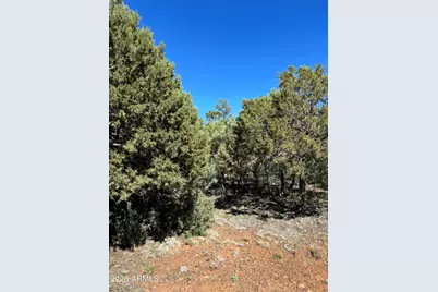 5459 Gray Wolf Drive #46, Lakeside, AZ 85929 - Photo 4