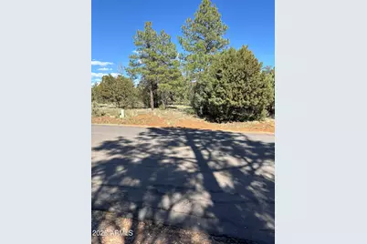 5459 Gray Wolf Drive #46, Lakeside, AZ 85929 - Photo 1