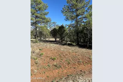 5459 Gray Wolf Drive #46, Lakeside, AZ 85929 - Photo 2