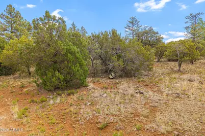 5459 Gray Wolf Drive #46, Lakeside, AZ 85929 - Photo 10