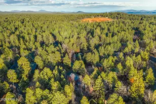 3824 W Bermuda Cir, Pinetop, AZ 85935 - Photo 42