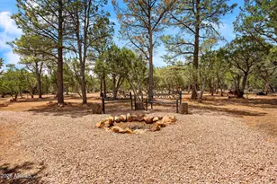2788 Chandelle Ln, Overgaard, AZ 85933 - Photo 30