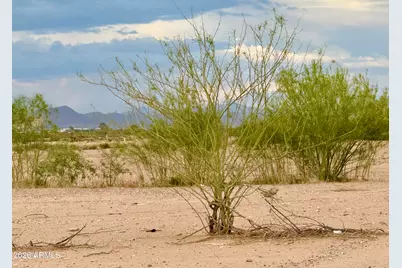 506 W 14th Street #-, Eloy, AZ 85131 - Photo 14