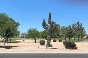 11135 E Elmhurst Dr, Sun Lakes, AZ 85248 - Photo 36