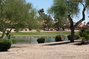 11135 E Elmhurst Dr, Sun Lakes, AZ 85248 - Photo 46