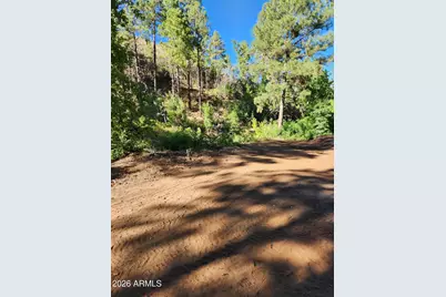 00 S Alexandra Road #-, Crown King, AZ 86343 - Photo 10