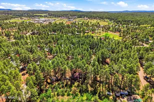 1762 Anglers Rd, Lakeside, AZ 85929 - Photo 28