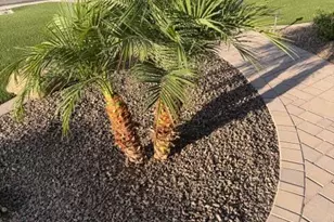 16588 W Pinchot Ave, Goodyear, AZ 85395 - Photo 44