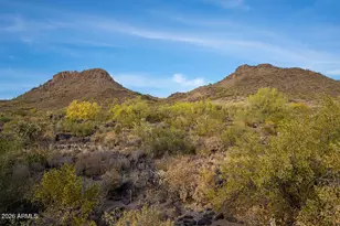 6329 W Honeysuckle Dr, Phoenix, AZ 85083 - Photo 28