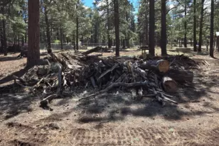 6612 Lynx Ln, Flagstaff, AZ 86004 - Photo 38