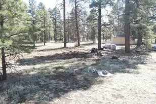6612 Lynx Ln, Flagstaff, AZ 86004 - Photo 42