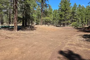 6612 Lynx Ln, Flagstaff, AZ 86004 - Photo 4