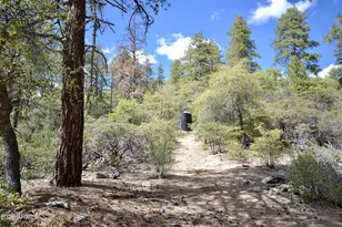 23277 S Demascus Rd, Crown King, AZ 86343 - Photo 40