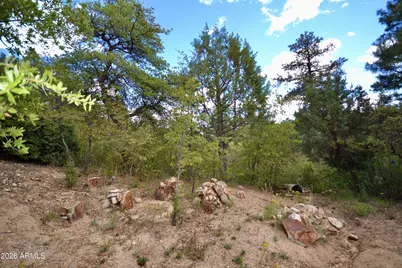 23277 S Demascus Road, Crown King, AZ 86343 - Photo 44