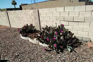 9302 E Broadway Rd, Mesa, AZ 85208 - Photo 50