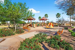 823 W Leadwood Ave, San Tan Valley, AZ 85140 - Photo 40