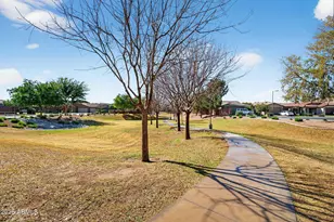 823 W Leadwood Ave, San Tan Valley, AZ 85140 - Photo 36