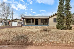552 Rim Dr, Pinedale, AZ 85934 - Photo 10