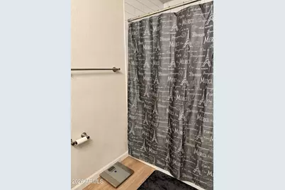 1523 W Plana Avenue, Mesa, AZ 85202 - Photo 18