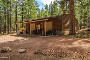 2293 Deer Ridge Dr, Happy Jack, AZ 86024 - Photo 34