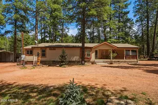 2293 Deer Ridge Dr, Happy Jack, AZ 86024 - Photo 14