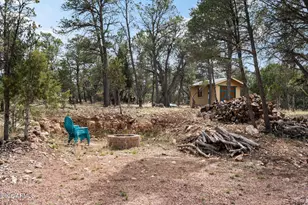 2095 Ranger Rd, Overgaard, AZ 85933 - Photo 24