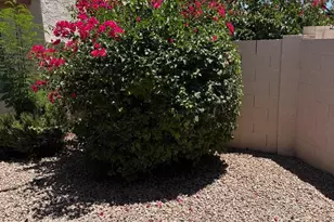 5701 W Jupiter Way, Chandler, AZ 85226 - Photo 52
