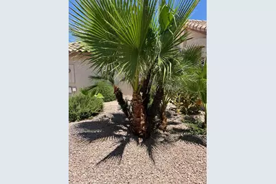 5701 W Jupiter Way, Chandler, AZ 85226 - Photo 62