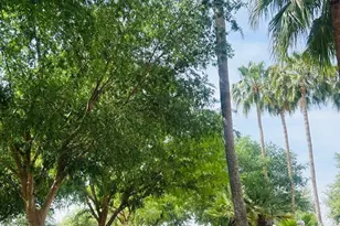 3301 S Goldfield Rd, Apache Junction, AZ 85119 - Photo 44