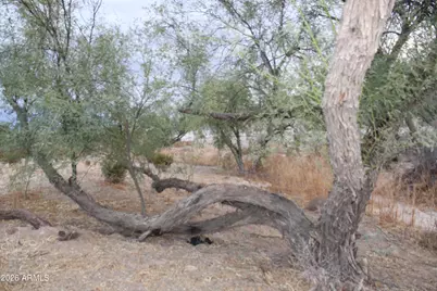 14751 S Airport Road #-, Buckeye, AZ 85326 - Photo 20