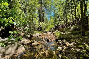 1501 N Beeline Hwy, Payson, AZ 85541 - Photo 50