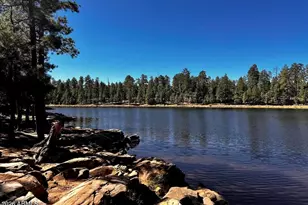 1501 N Beeline Hwy, Payson, AZ 85541 - Photo 52