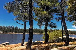 1501 N Beeline Hwy, Payson, AZ 85541 - Photo 48